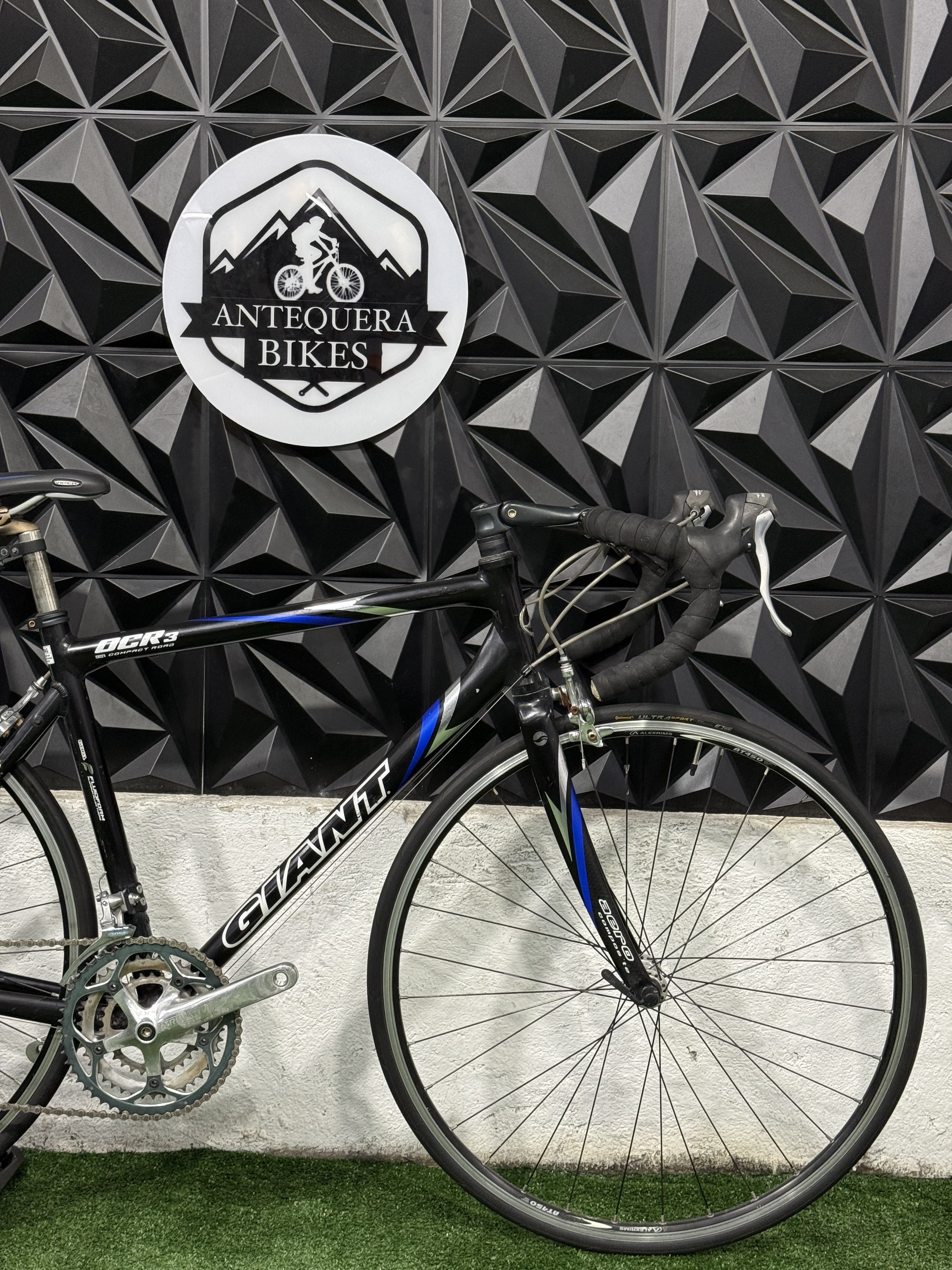 GIANT OCR 3