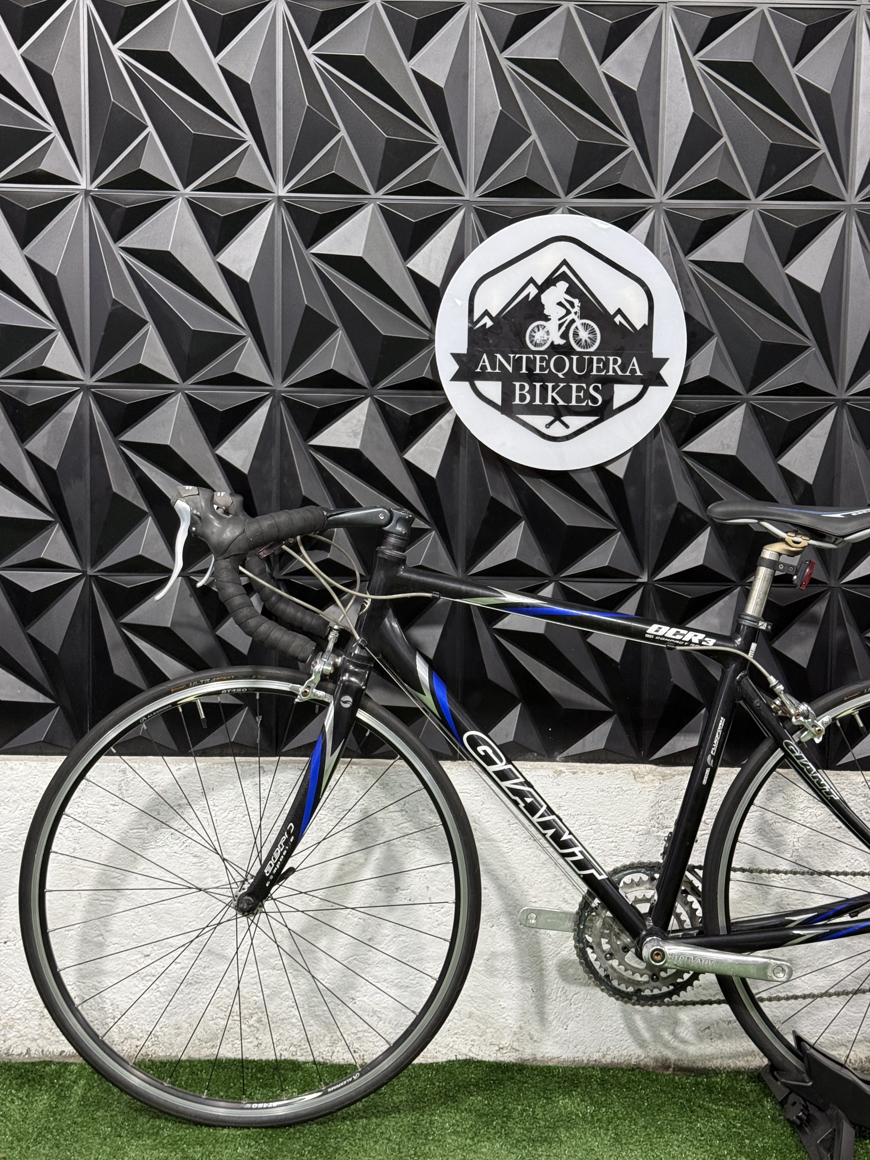 GIANT OCR 3