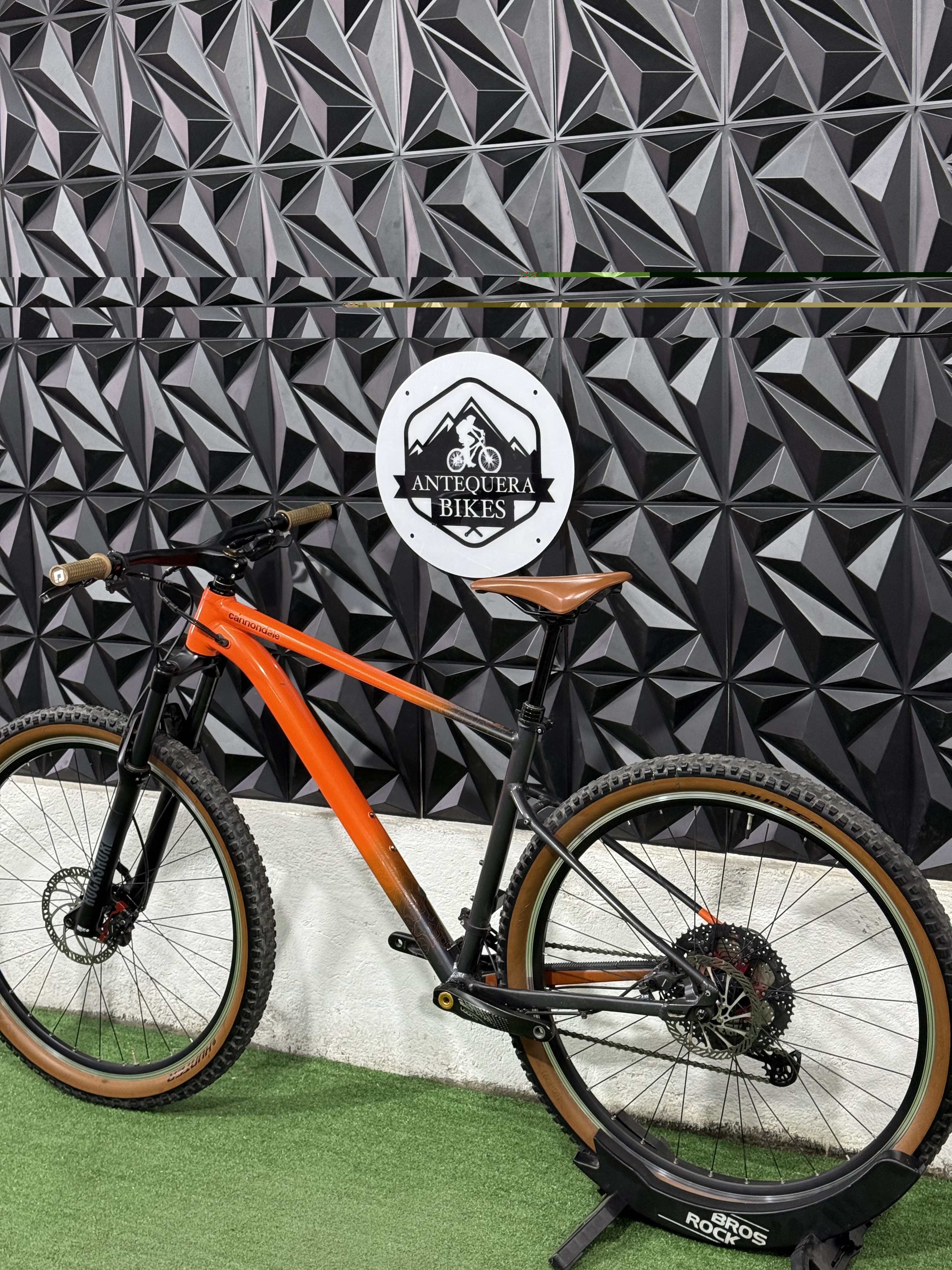 CANNONDALE TRAIL
