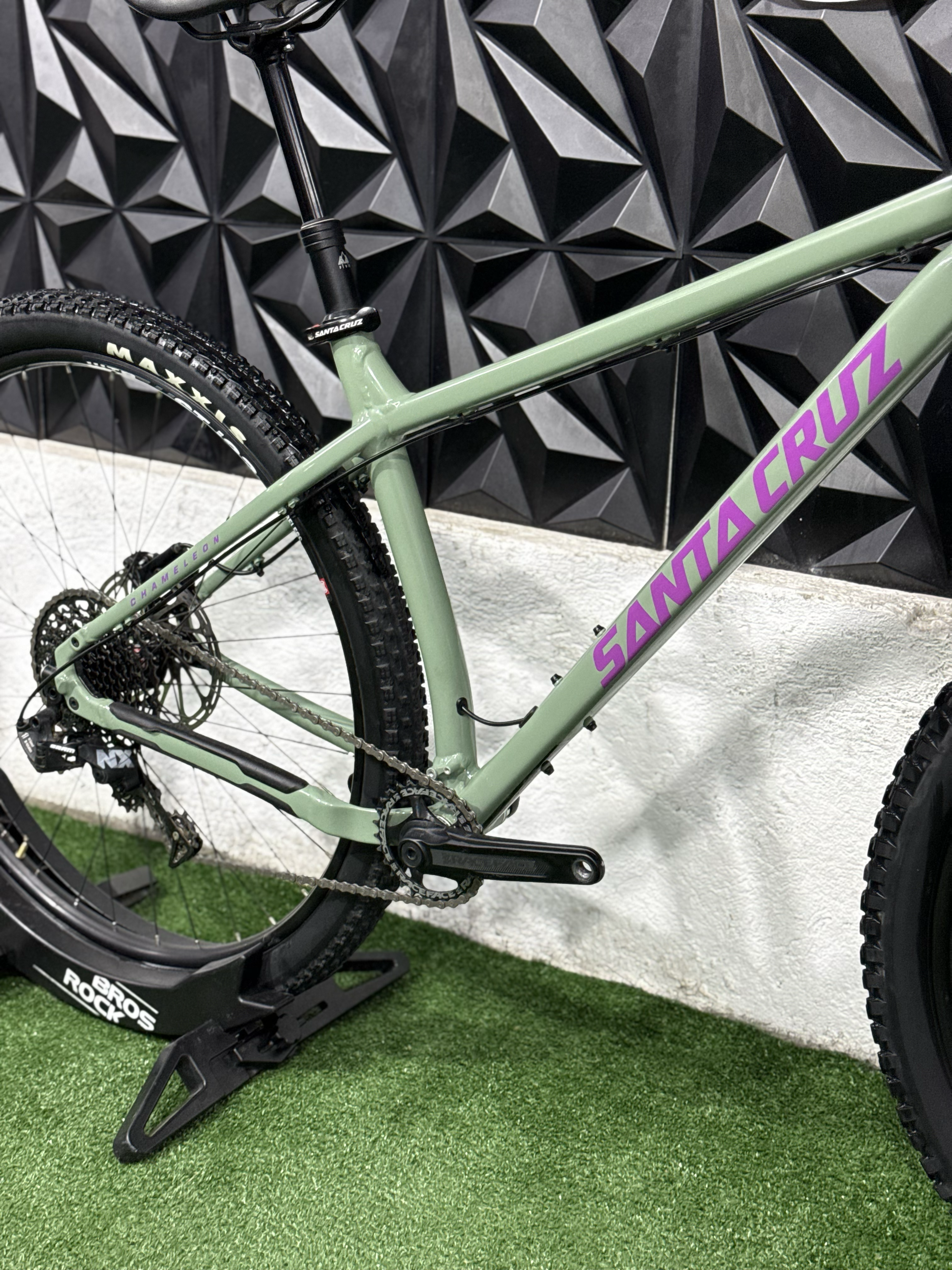 SANTA CRUZ CHAMELEON