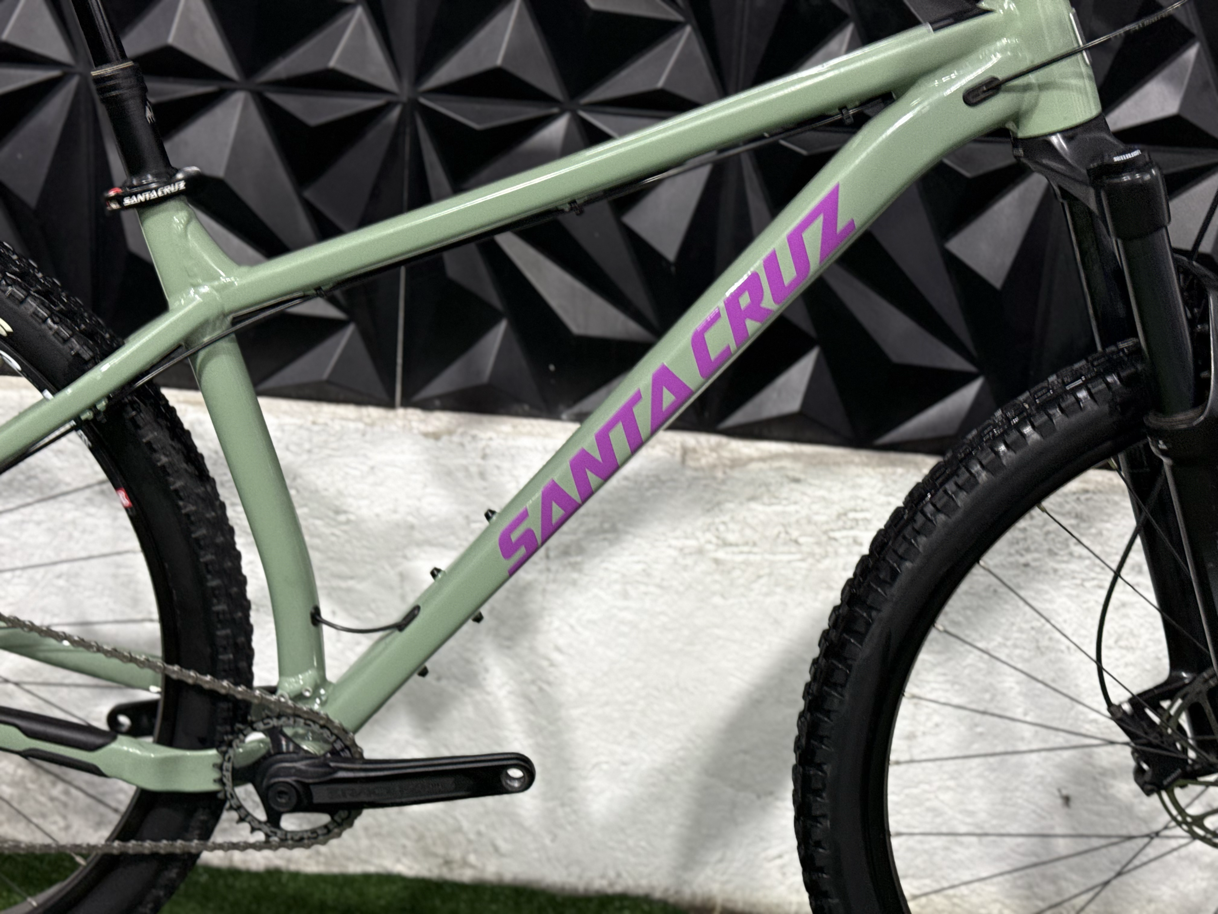 SANTA CRUZ CHAMELEON