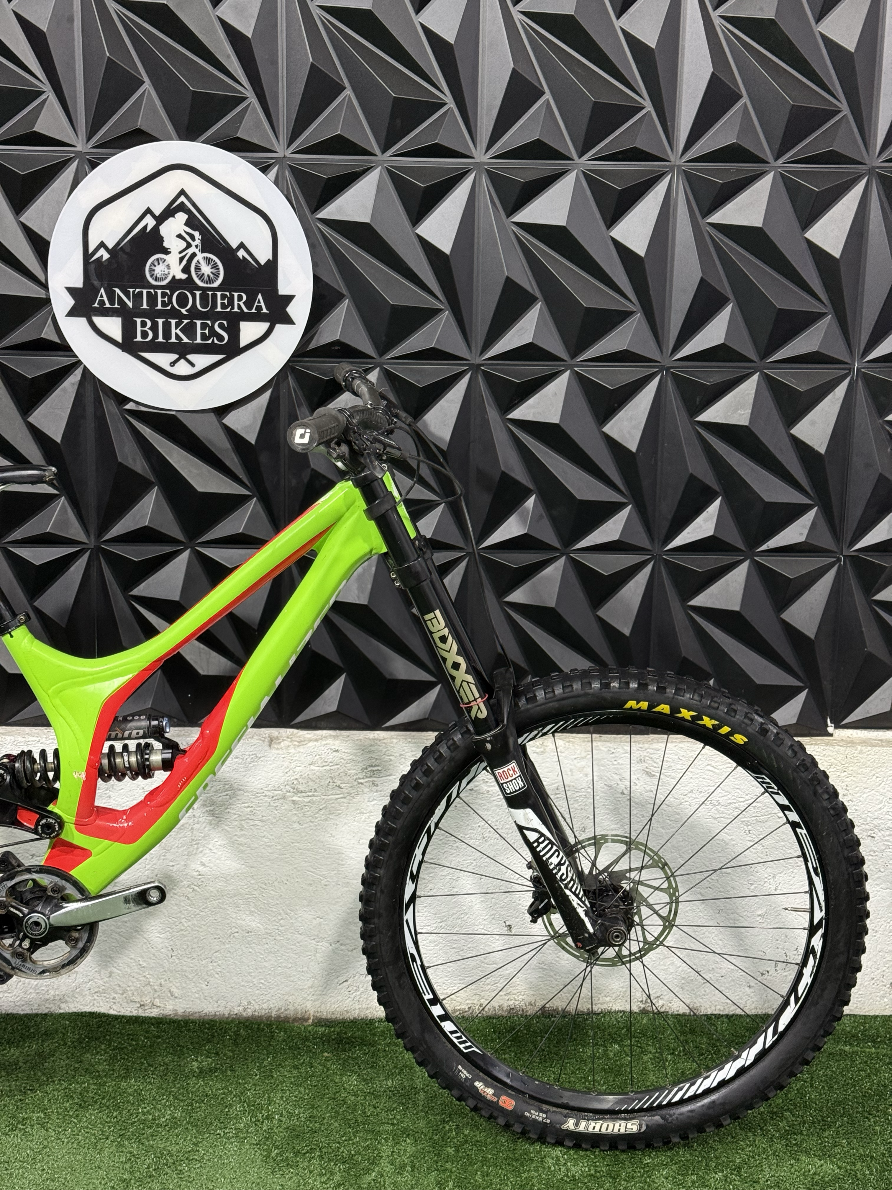 SPECIALIZED DEMO
