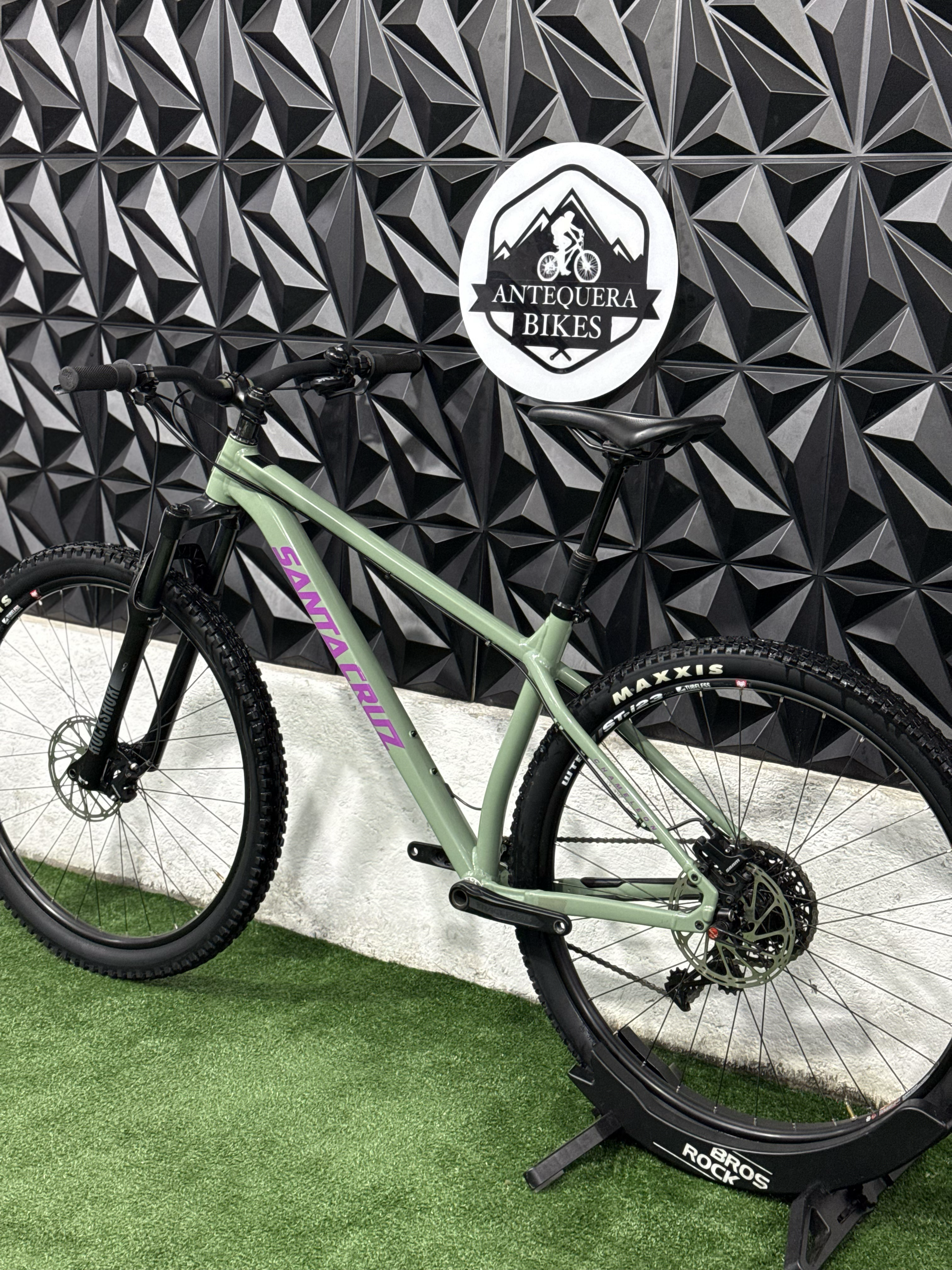 SANTA CRUZ CHAMELEON