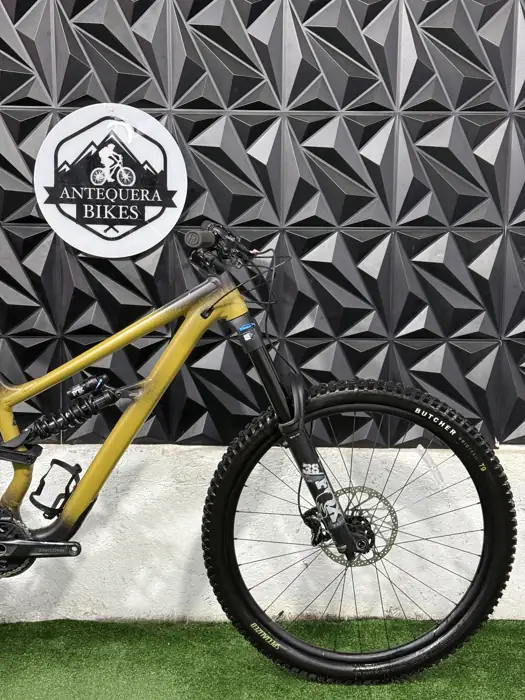 SPECIALIZED STATUS