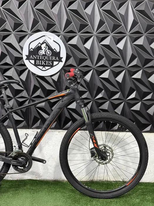 ORBEA MX