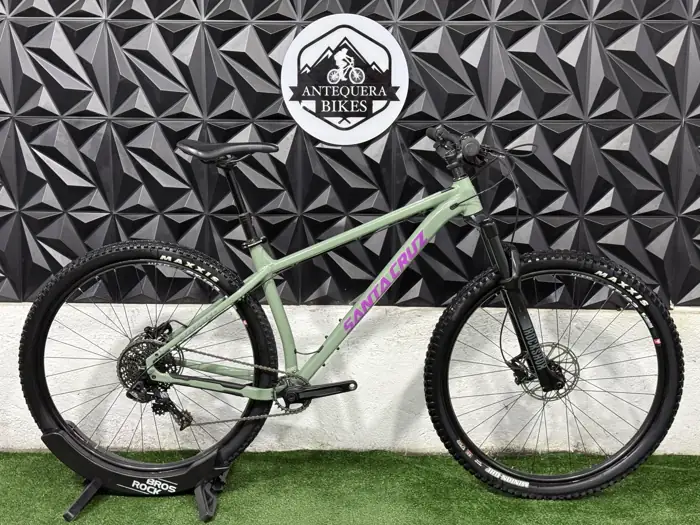 SANTA CRUZ CHAMELEON
