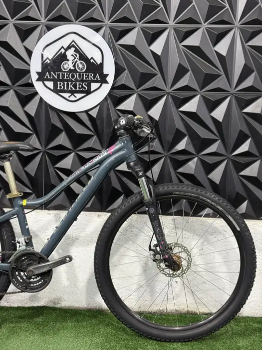 SPECIALIZED JYNX