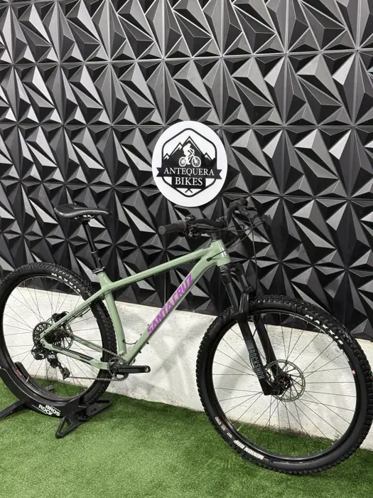 SANTA CRUZ CHAMELEON